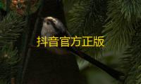 抖音官方正版
